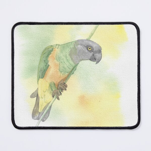Item preview, Senegalese Youyou in watercolor designed and sold by L'Atelier Oranjade.