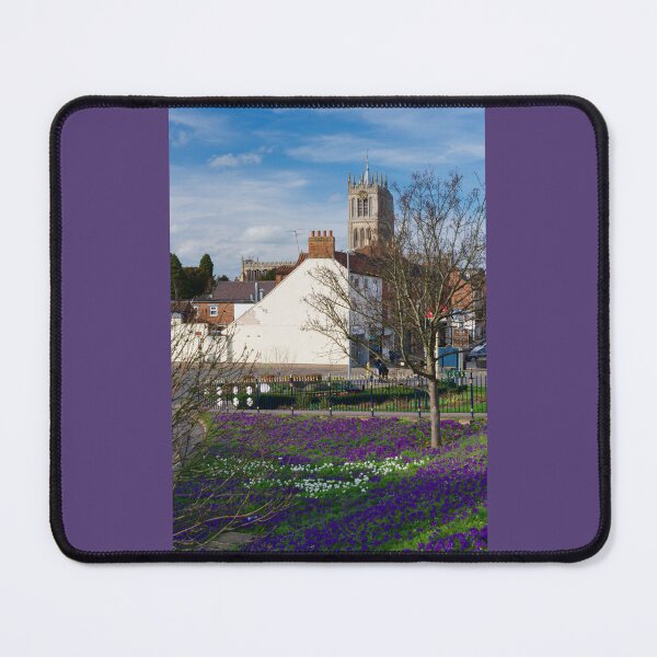 Item preview, Melton Mowbray Crocuses designed and sold by Alisonchambers2.