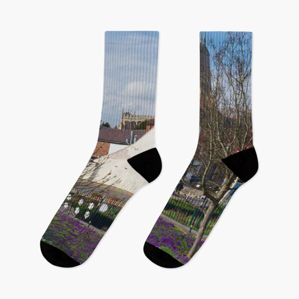 Item preview, Melton Mowbray Crocuses designed and sold by Alisonchambers2.