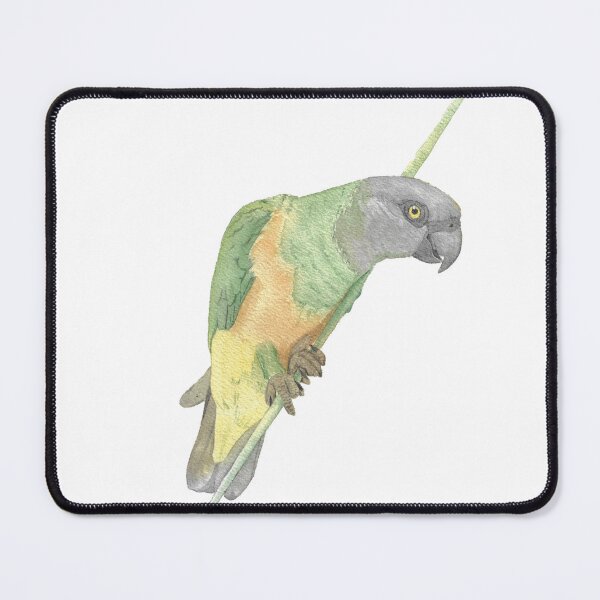 Item preview, Senegalese Youyou in watercolor designed and sold by L'Atelier Oranjade.