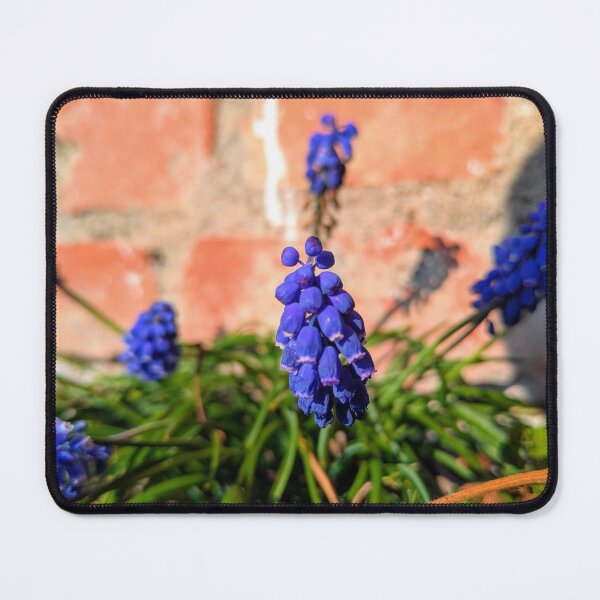Item preview, Spring flowers designed and sold by MonStile.