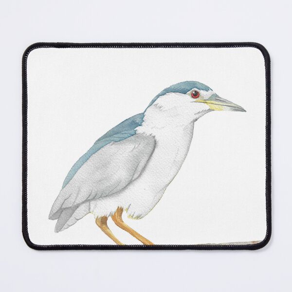 Item preview, Black-crowned night heron in watercolor designed and sold by L'Atelier Oranjade.