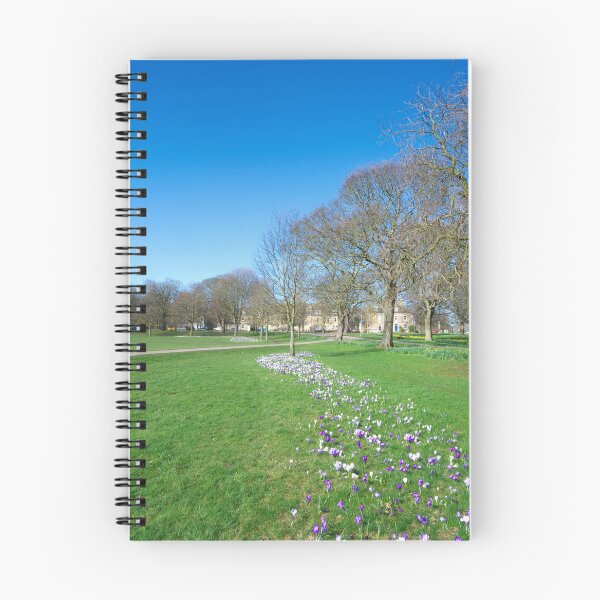Item preview, The Stray Harrogate designed and sold by Alisonchambers2.