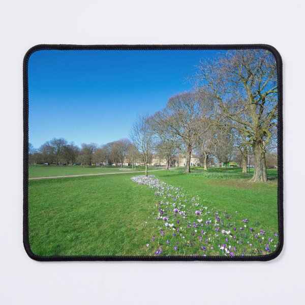 Item preview, The Stray Harrogate designed and sold by Alisonchambers2.