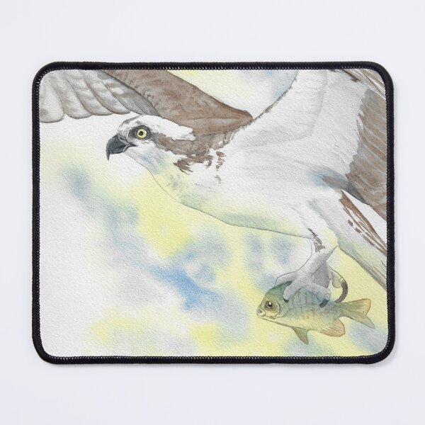Item preview, Osprey in watercolor designed and sold by L'Atelier Oranjade.