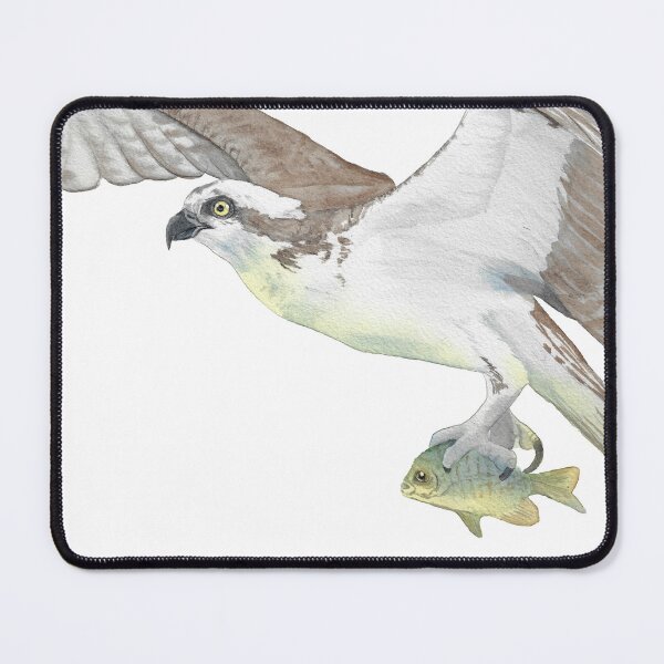 Item preview, Osprey in watercolor designed and sold by L'Atelier Oranjade.
