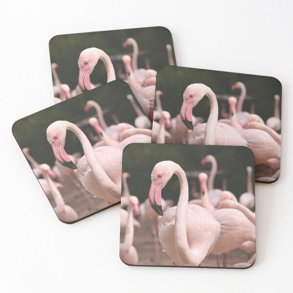 Item preview, Elegant Pink Flamingo Portrait – Soft Wildlife Photography designed and sold by Sarah – Fine Art & Photography.