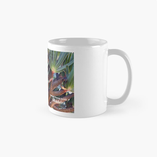 Item preview, Madeira island, Aloe plicatilis, the fan-aloe, Portugal, Original Photography designed and sold by studio838.