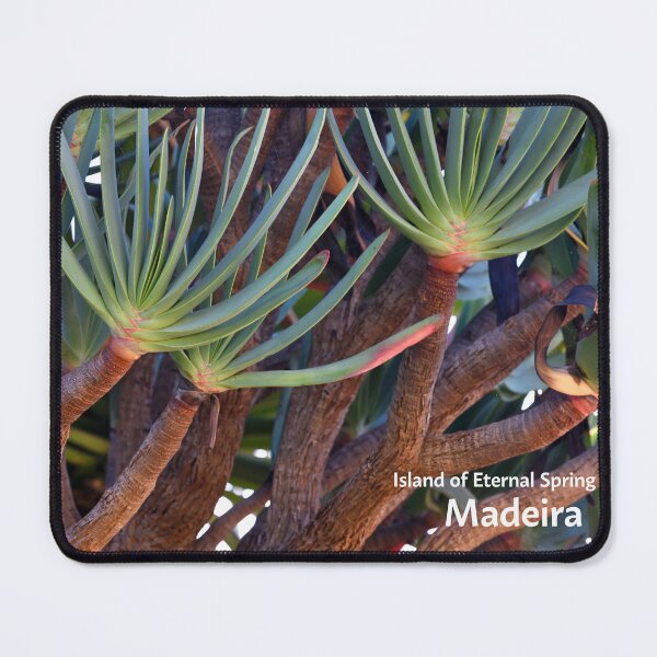 Item preview, Madeira island, Aloe plicatilis, the fan-aloe, Portugal, Original Photography designed and sold by studio838.