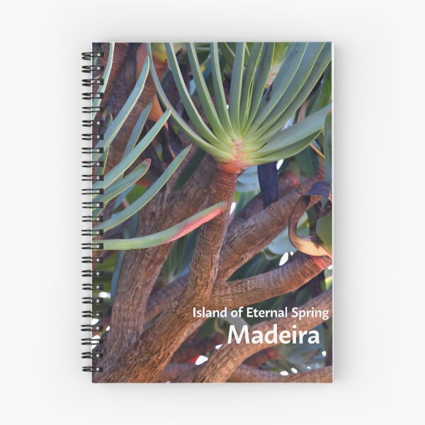 Item preview, Madeira island, Aloe plicatilis, the fan-aloe, Portugal, Original Photography designed and sold by studio838.