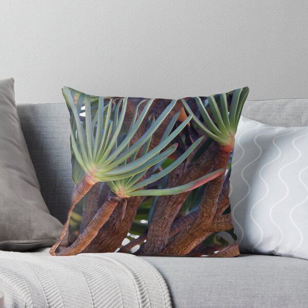 Item preview, Madeira island, Aloe plicatilis, the fan-aloe, Portugal, Original Photography designed and sold by studio838.