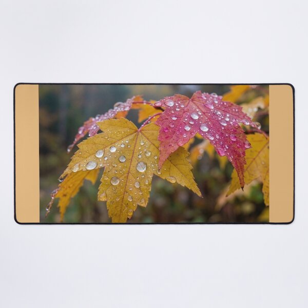 Item preview, Fall Maple Leaves in the Rain designed and sold by Tridentulus.