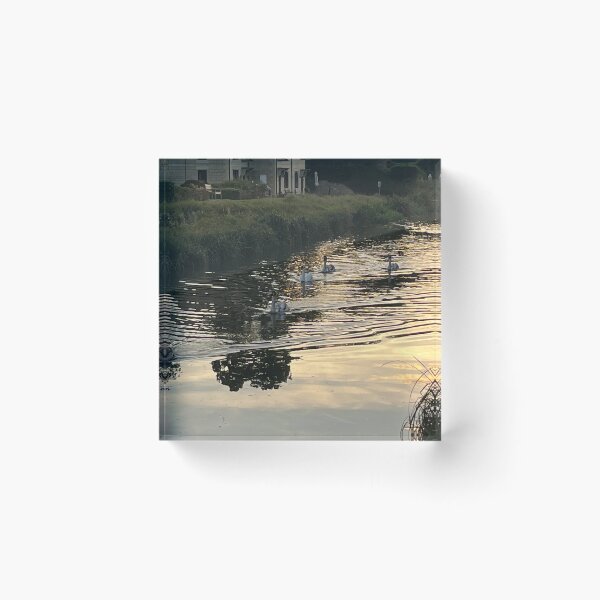Item preview, Swans on the canal designed and sold by RedArt1979.