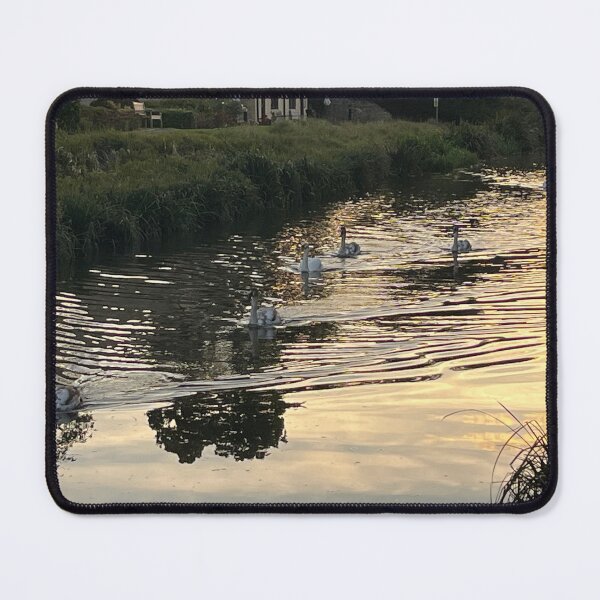Item preview, Swans on the canal designed and sold by RedArt1979.