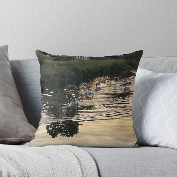 Item preview, Swans on the canal designed and sold by RedArt1979.