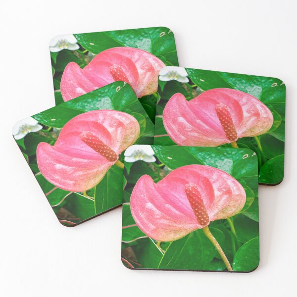 Item preview, Botanical Garden Orchid Exhibit designed and sold by AuntieSugarCo.