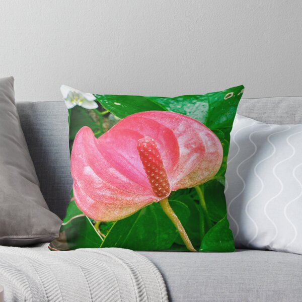 Item preview, Botanical Garden Orchid Exhibit designed and sold by AuntieSugarCo.