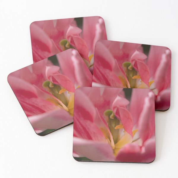 Item preview, Anatomy of a Tulip: Shades of Pink designed and sold by Mass Monumentalist.
