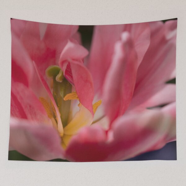 Item preview, Anatomy of a Tulip: Shades of Pink designed and sold by Mass Monumentalist.