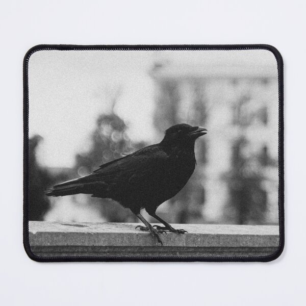 Item preview, Black Crow in Monochrome designed and sold by FRLSTC.