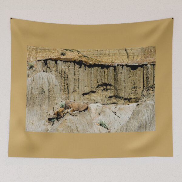 Item preview, Eroded Cliffside and Rock Formations designed and sold by Debra Martz.