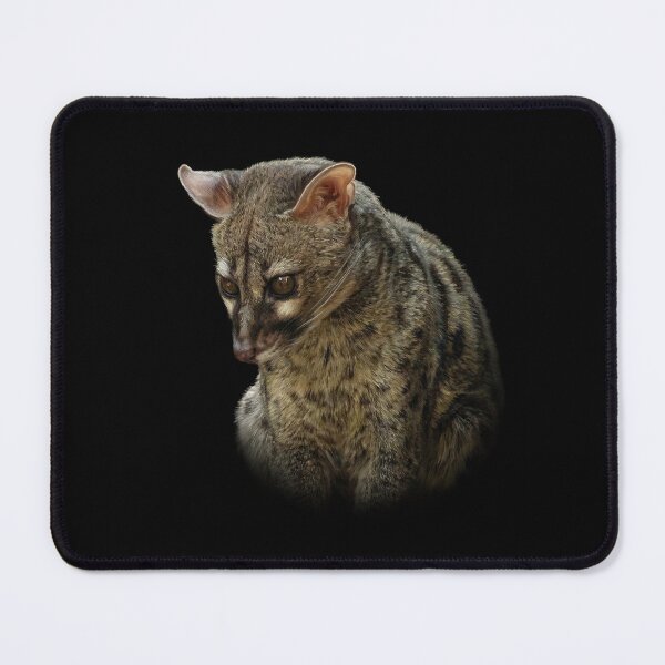 Item preview, Genet designed and sold by Guardi71.