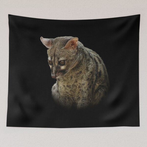 Item preview, Genet designed and sold by Guardi71.