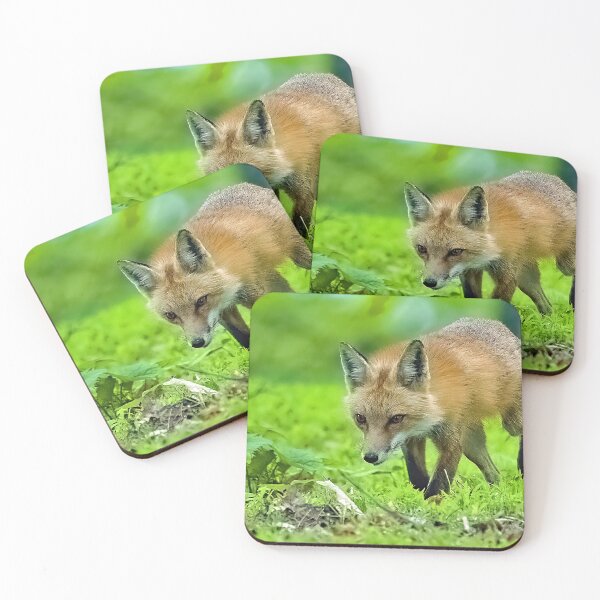Item preview, Red Fox on the Hunt at a Forest Edge designed and sold by AMacGPhilly.