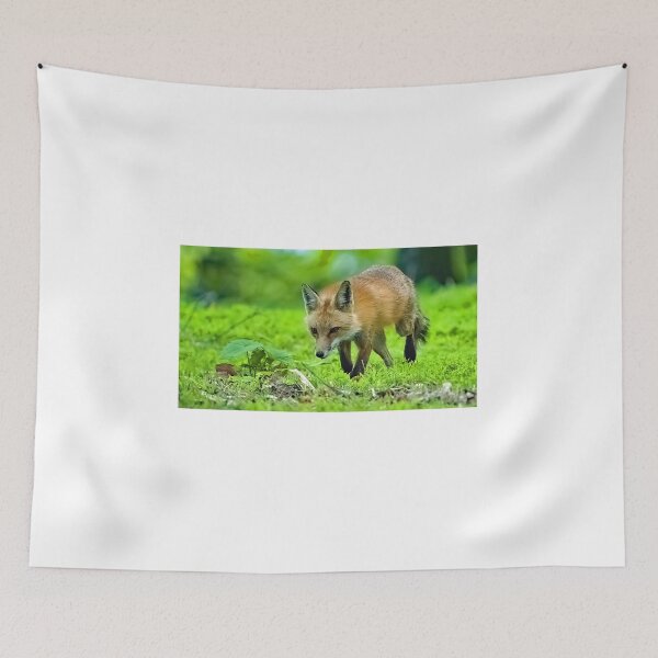 Item preview, Red Fox on the Hunt at a Forest Edge designed and sold by AMacGPhilly.