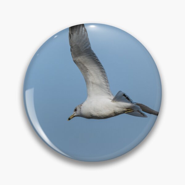 Item preview, Seagull Soaring in the Sky designed and sold by Debra Martz.