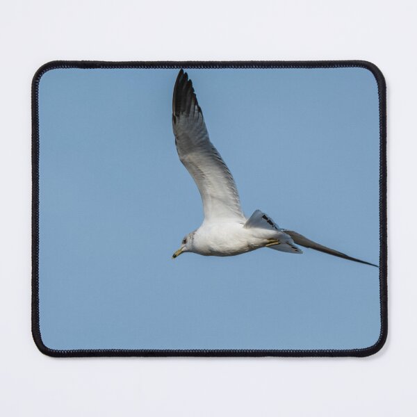 Item preview, Seagull Soaring in the Sky designed and sold by Debra Martz.
