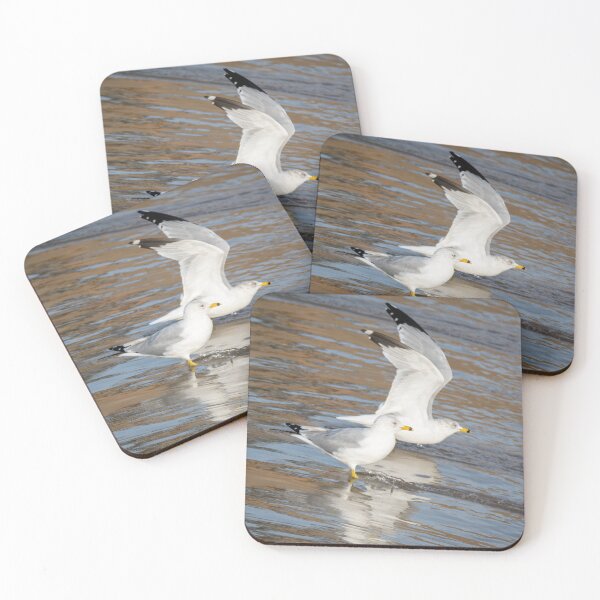 Item preview, Ring-billed Gulls at the Spillway designed and sold by Debra Martz.