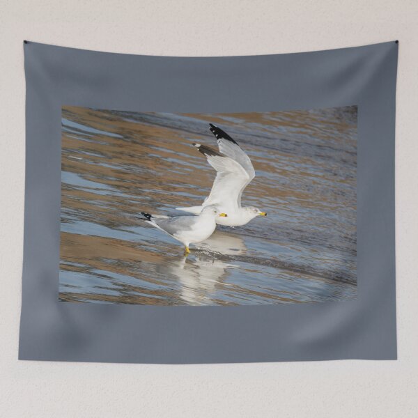 Item preview, Ring-billed Gulls at the Spillway designed and sold by Debra Martz.