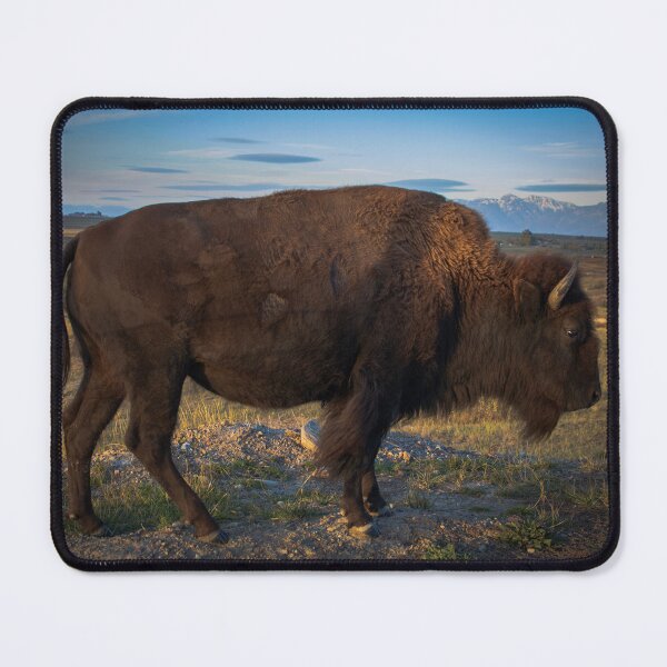 Item preview, American Bison and Mission Mountains designed and sold by InlandStyle.