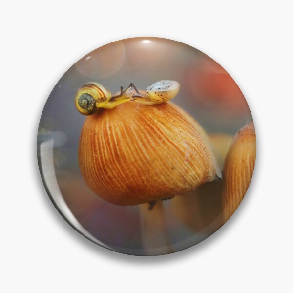 Item preview, Moonlight Encounter: Golden Fungi designed and sold by SoulArchitect.