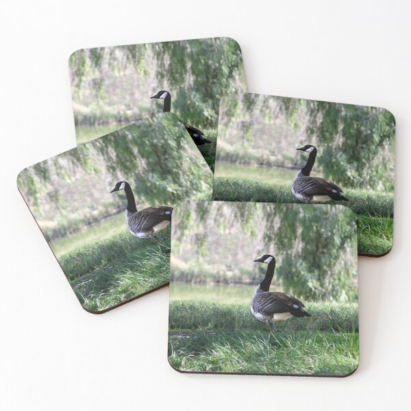Item preview, I Came Here From Canada, Legally! designed and sold by heatherfriedman.