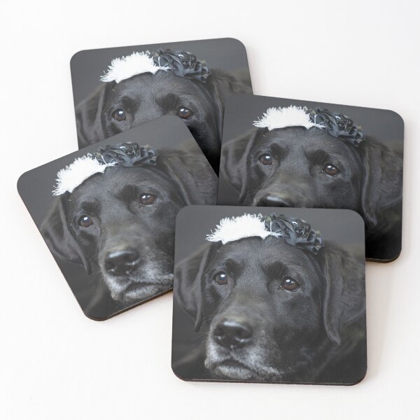 Item preview, Senior Black Labrador with black & white flowers designed and sold by Christine Crosby - Sunlight Inspirations.