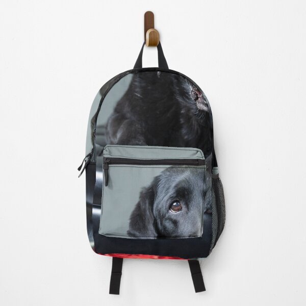 Item preview, Black Labrador with Red Roses designed and sold by Christine Crosby - Sunlight Inspirations.