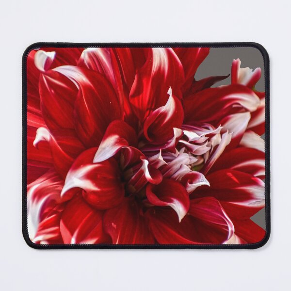 Item preview, Flower Red Dahlia designed and sold by StylishDecor.