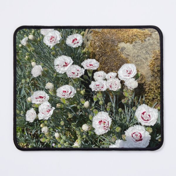 Item preview, Carnations designed and sold by shadowonthemoon.