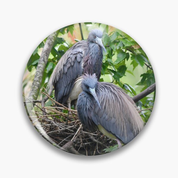 Item preview, Mated Herons by Their Nest designed and sold by richardbryce.