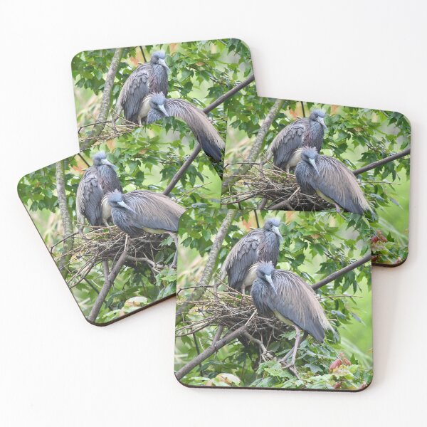 Item preview, Mated Herons by Their Nest designed and sold by richardbryce.