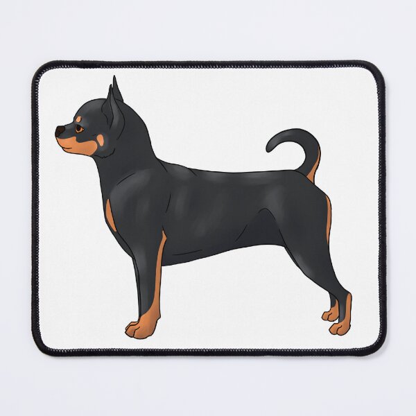 Item preview, Smooth Chihuahua Black and Tan designed and sold by Pawsome-Doodles.