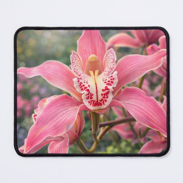 Item preview, Delicate Pink Cymbidium Orchid Close-up 3 Shapes Mania designed and sold by Shapes-Mania.