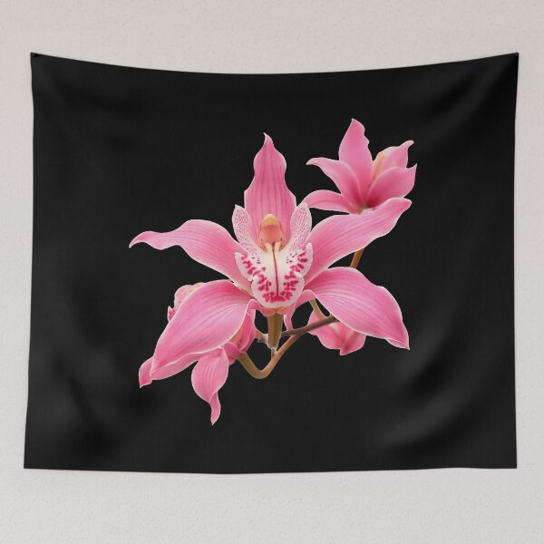 Item preview, Delicate Pink Cymbidium Orchid Close-up 2 Shapes Mania designed and sold by Shapes-Mania.