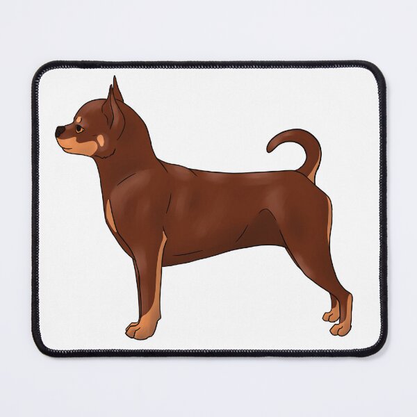 Item preview, Smooth Chihuahua Chocolate and Tan designed and sold by Pawsome-Doodles.