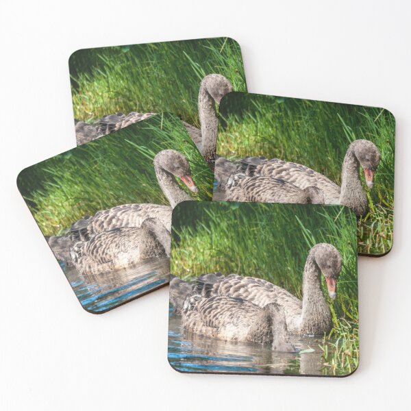 Item preview, Cygnets  designed and sold by D-GaP.