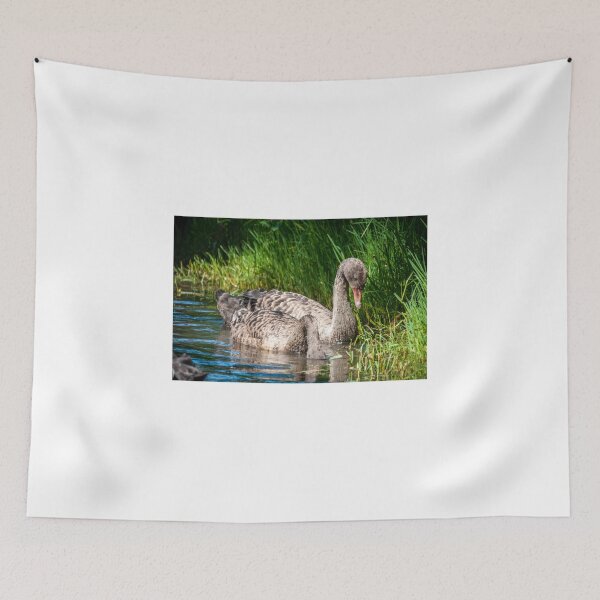 Item preview, Cygnets  designed and sold by D-GaP.