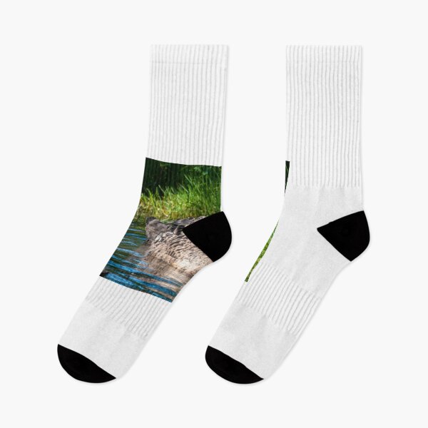 Item preview, Cygnets  designed and sold by D-GaP.