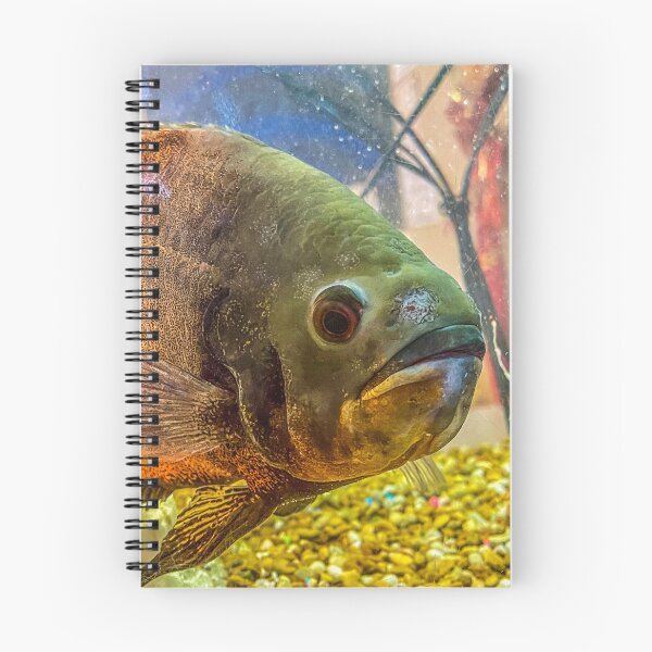 Item preview, Pacu Fish Close-Up – Freshwater Aquarium Portrait with Surreal Texture designed and sold by aadventures.